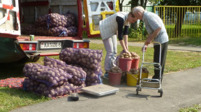 «Крэатыўны кансьпіралягічны ход». Чаму Лукашэнка ўсё шукае вінаватых у «бульбяной змове»