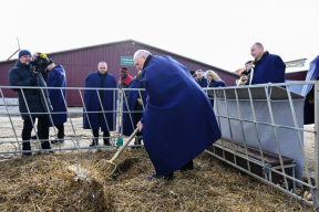 Фотофакт. Лукашенко взялся за вилы